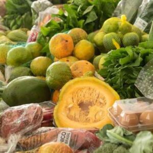 Alimentos organicos e sustentaveis